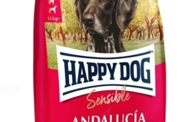 Happy Dog – Anziano
