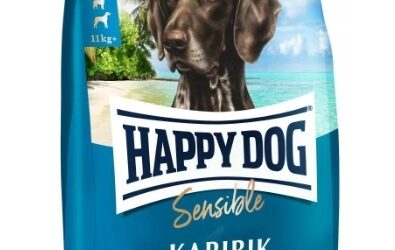 Happy Dog – Cucciolo
